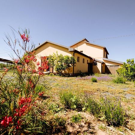Agriturismo Bio Podere 109 - Wine&Food Alberese Ngoại thất bức ảnh