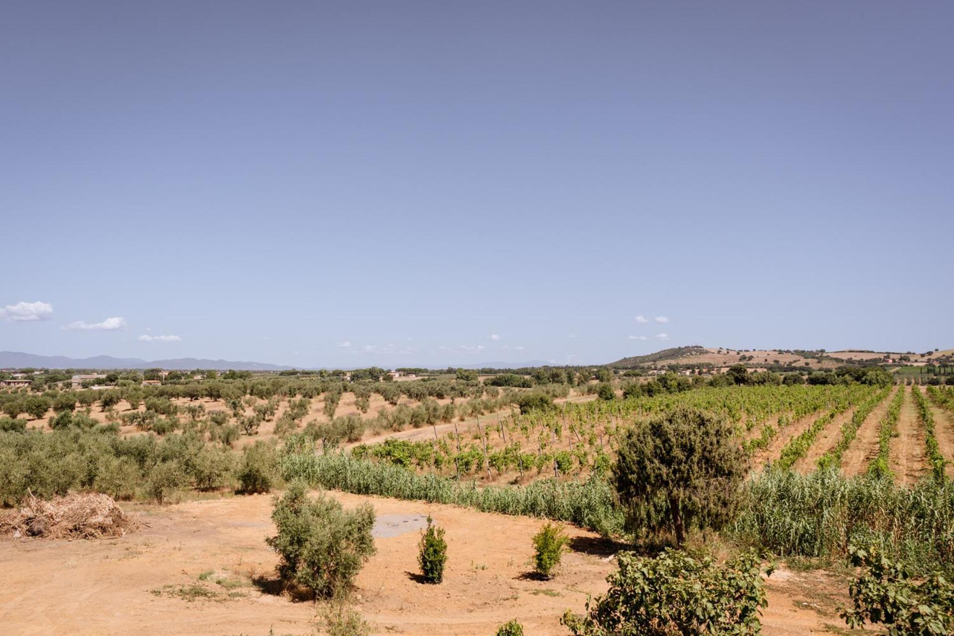 Agriturismo Bio Podere 109 - Wine&Food Alberese Ngoại thất bức ảnh
