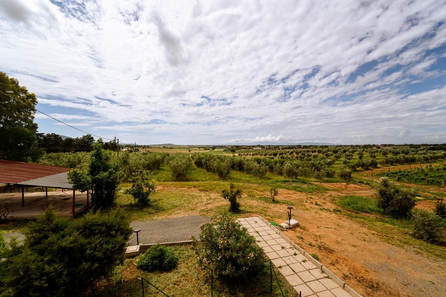 Agriturismo Bio Podere 109 - Wine&Food Alberese Ngoại thất bức ảnh