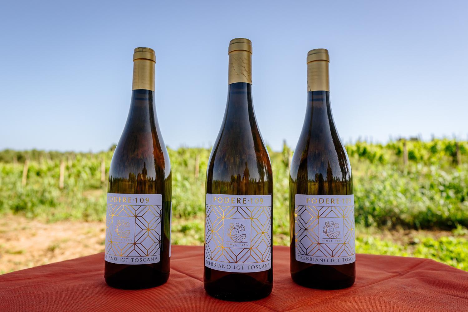 Agriturismo Bio Podere 109 - Wine&Food Alberese Ngoại thất bức ảnh