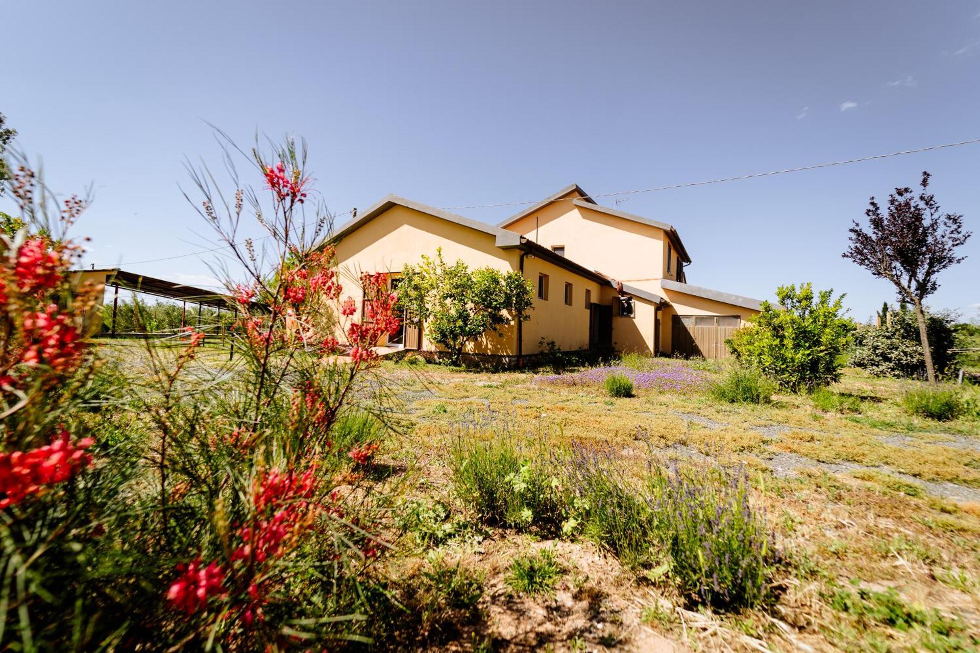 Agriturismo Bio Podere 109 - Wine&Food Alberese Ngoại thất bức ảnh